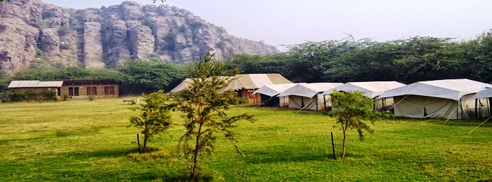 388/Camp Wild at Aravali Valley - Dhauj 003.jpg